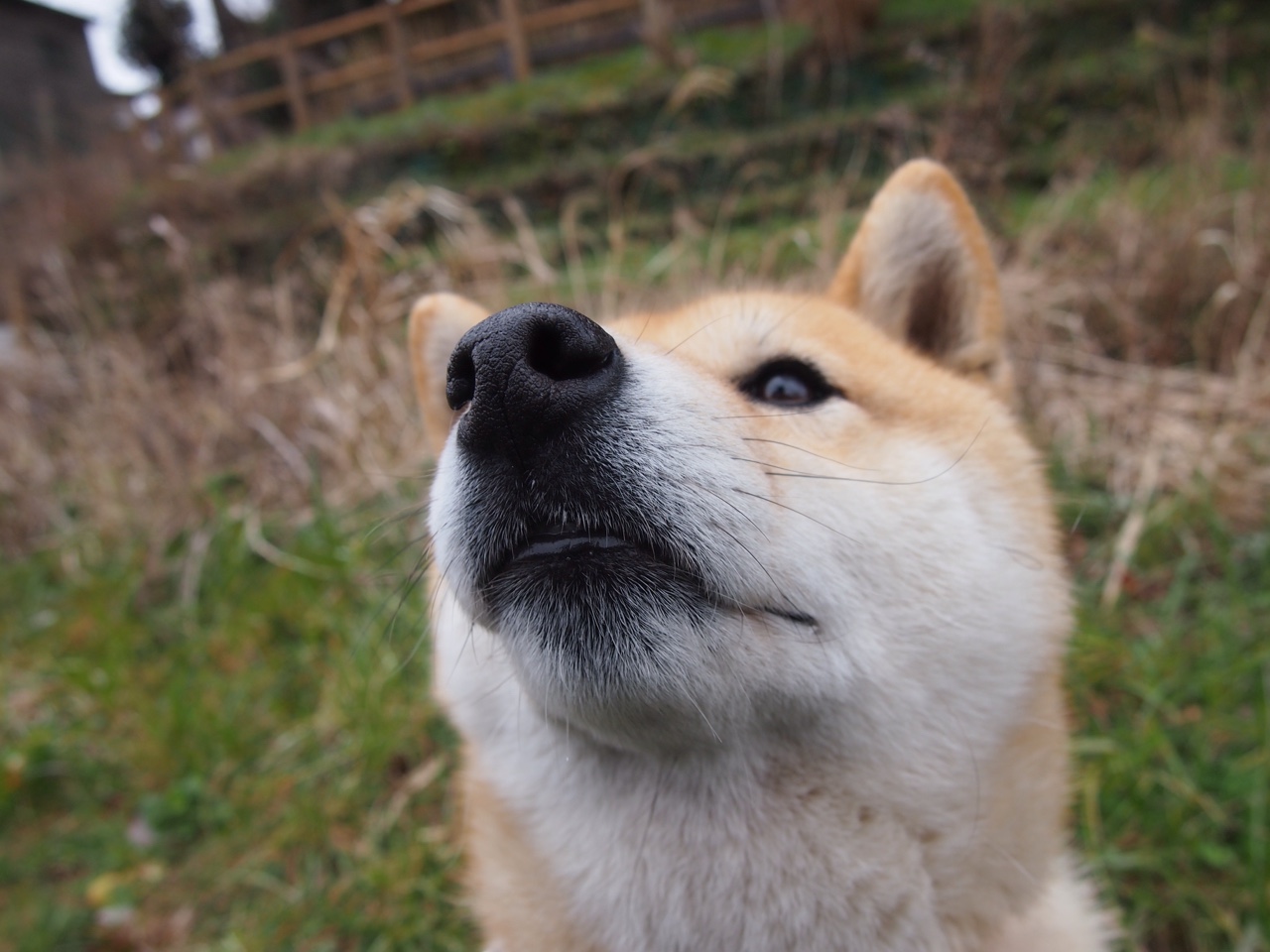 传奇球星的“人生第二春”，从退役到影响力巨大的故事，十大传奇球员