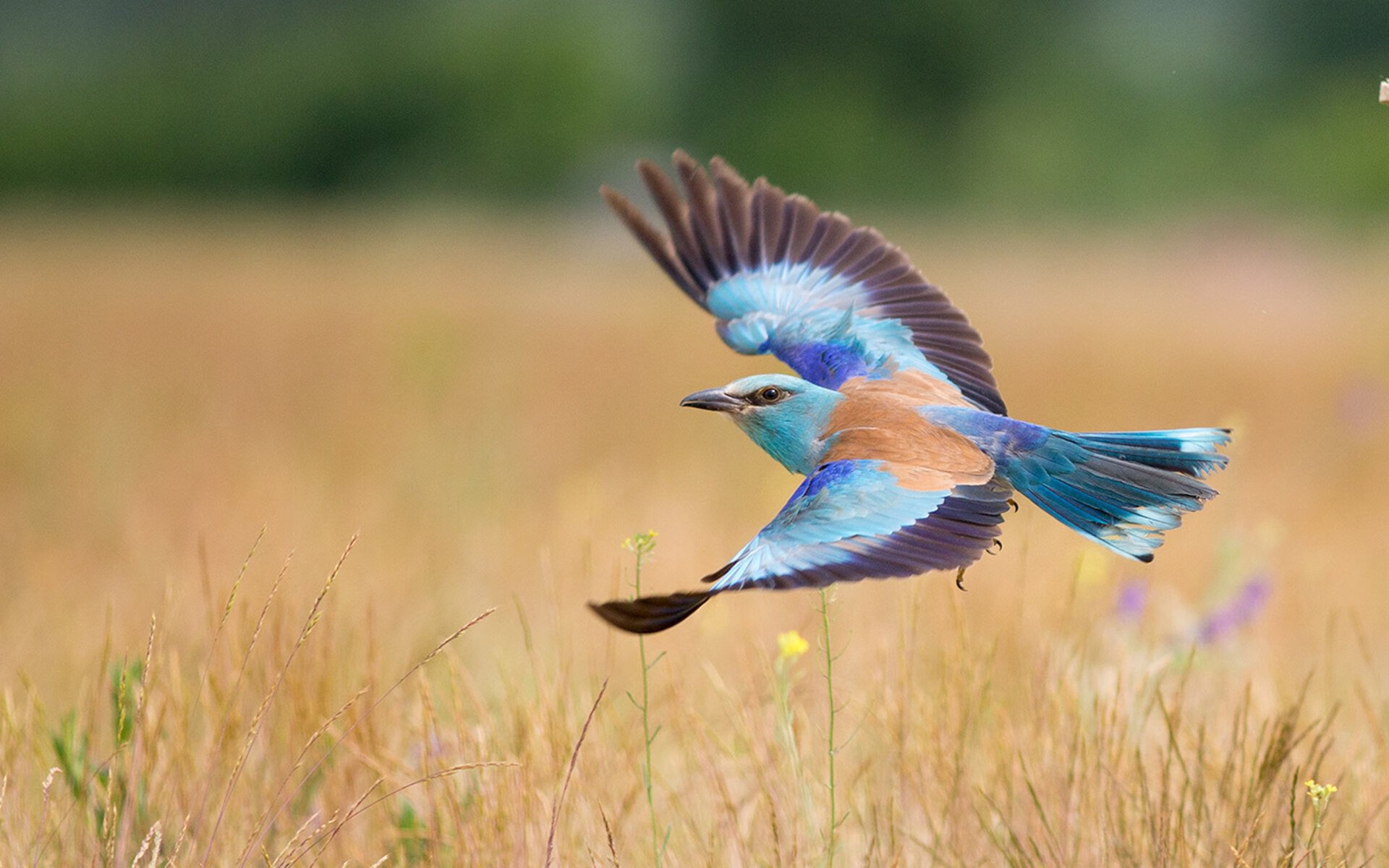 开云体育登陆入口-教练席变动：哪位新晋教练带队表现最出色？，教练名单